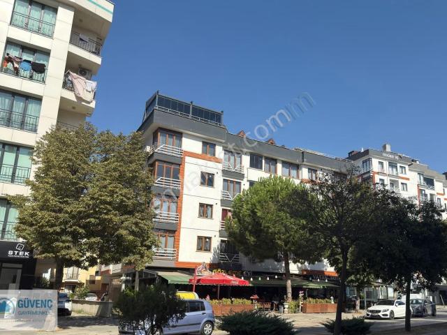 Tuzla, İstanbul içerisinde kiralık mülk