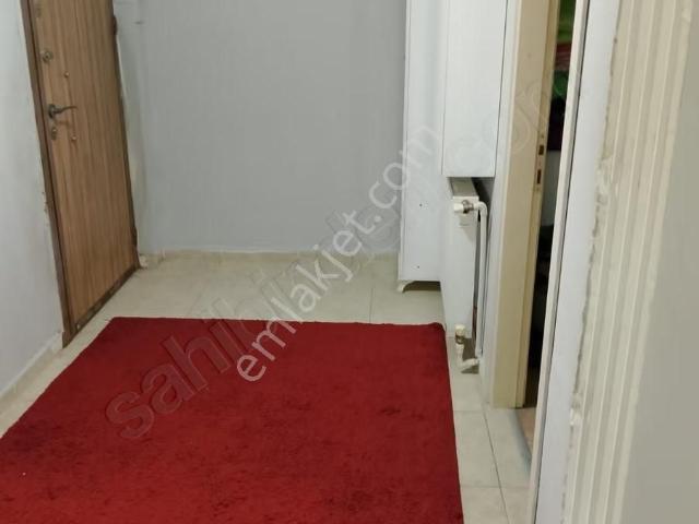 Yalova Merkez, Yalova içerisinde kiralık mülk