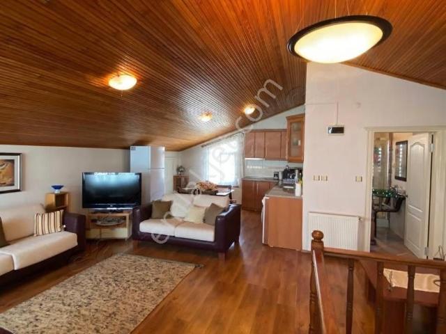 Yalova Merkez, Yalova içerisinde kiralık mülk