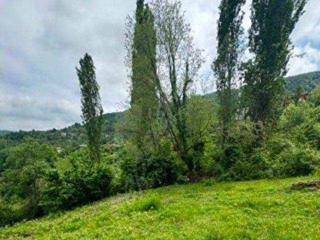 Zonguldak Merkez, Zonguldak içerisinde satılık mülk