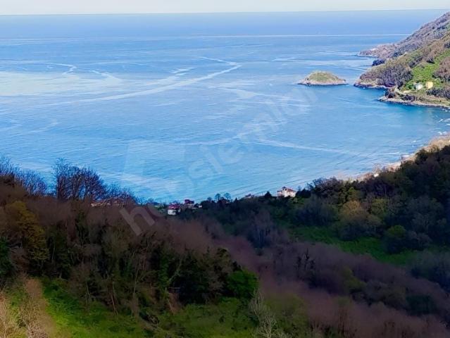 Ordu içerisinde satılık mülk