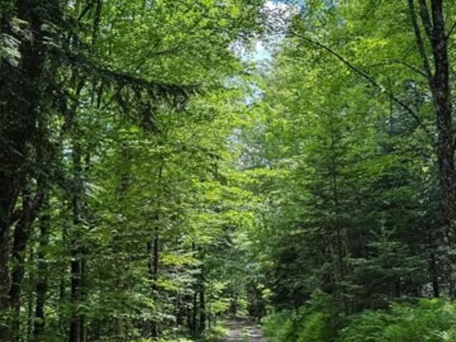 Land for sale in Lowell, Vermont