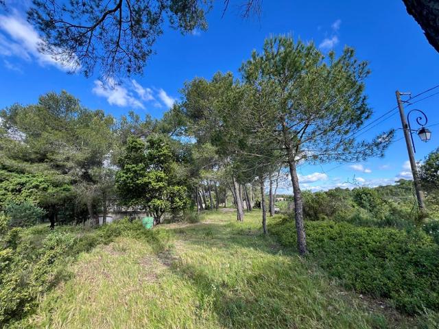 Terrain vente à Lodève, Guzargues