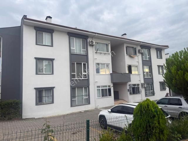 Düzce Merkez, Düzce içerisinde satılık mülk