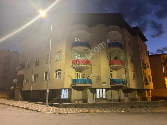 Tokat Merkez, Tokat içerisinde kiralık mülk