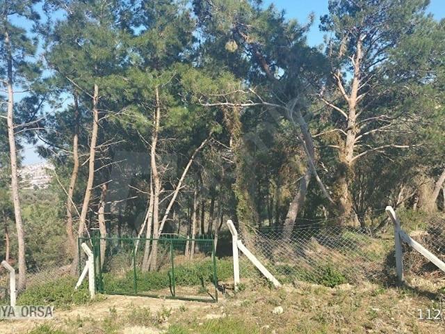 Güzelbahçe, İzmir içerisinde satılık Arsa