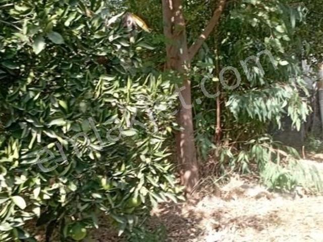 Güzeloba Mahallesi, Muratpaşa içerisinde kiralık Villa