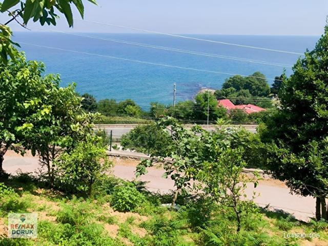 Ordu içerisinde satılık Arsa