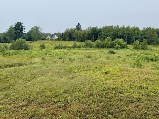 Land for sale in Corea, Maine