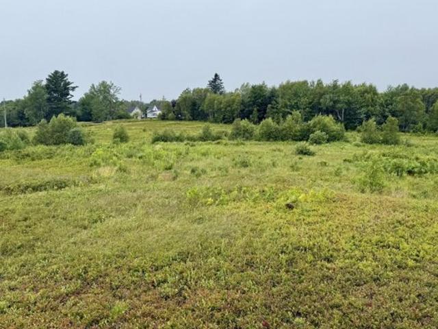 Land for sale in Corea, Maine