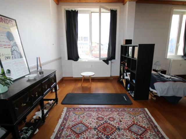 Kot location à Desteldonk, Oost-Vlaanderen