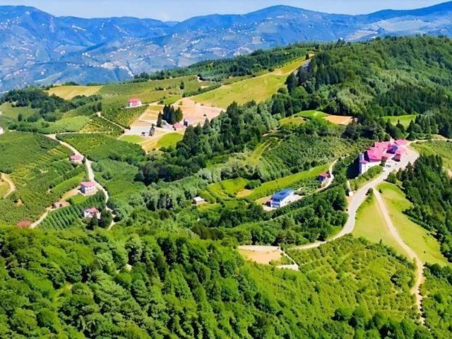 Tosunlu, Maçka içerisinde satılık Arsa