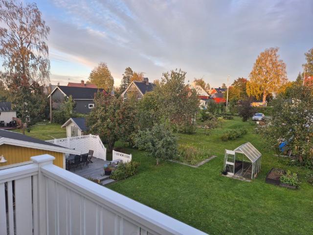 Hus hyra i Boliden, Västerbotten