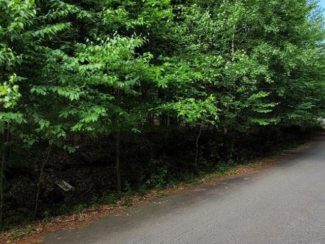Land for sale in Carbon, Pennsylvania