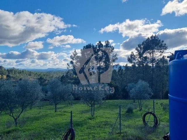 Quinta venda em Castelo Branco