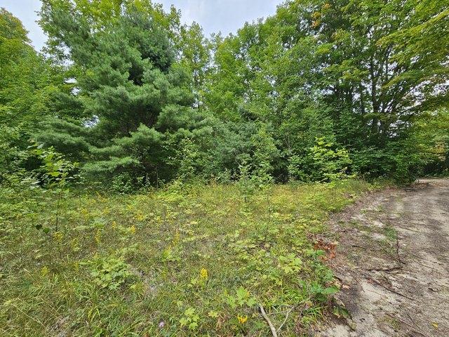 Land for sale in Gould City, Michigan