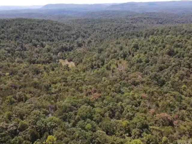 House for rent in Ark