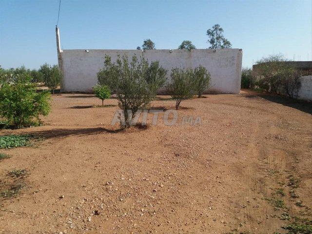 Propriété vente à Ben Ahmed, Gharb-Chrarda-Beni Hssen