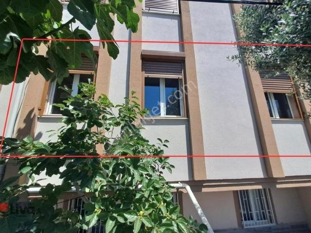 Kasaplar, Altıeylül içerisinde kiralık mülk