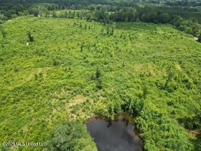 Land for sale in Mendenhall, Mississippi