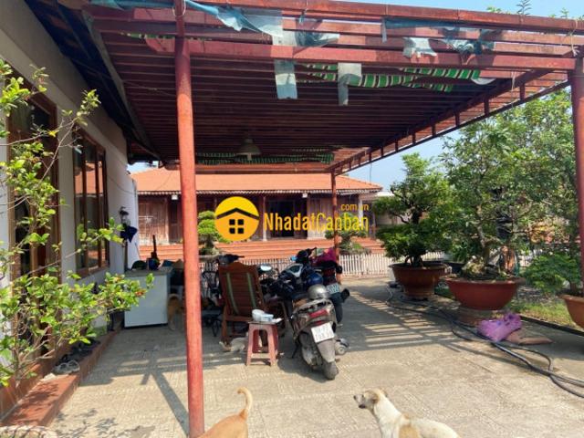 Biệt Thự bán