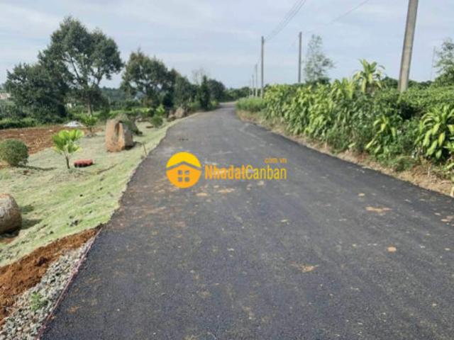 Mặt bằng bán