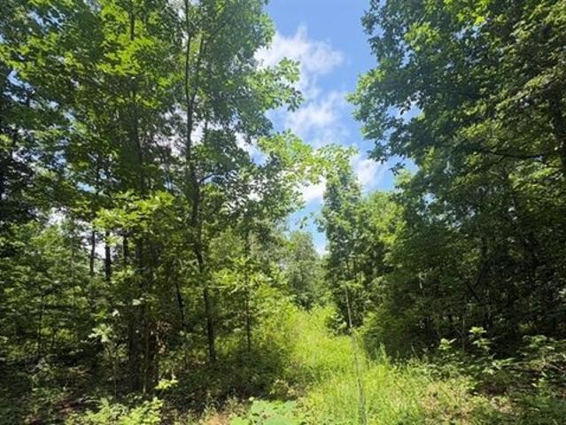 Land for sale in Reynolds, Missouri