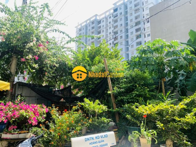 Mặt bằng bán