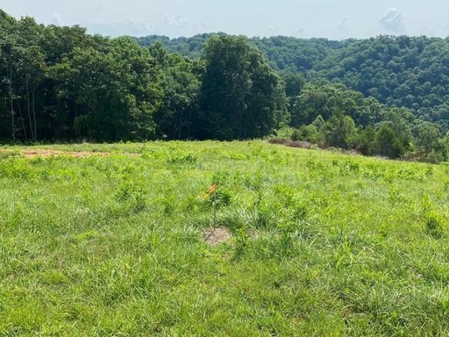 Land for sale in Tennessee