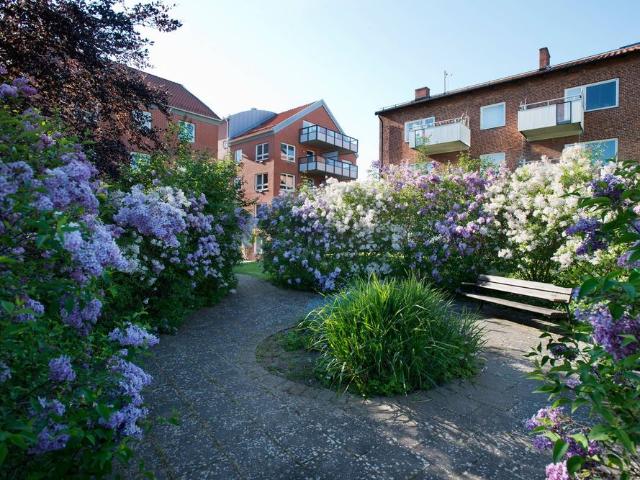 Lägenhet hyra i Rådmansvången, Lund