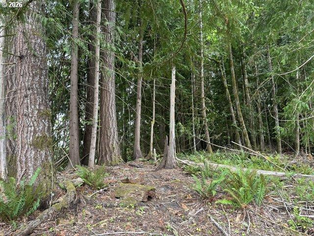 Land for sale in Oregonia