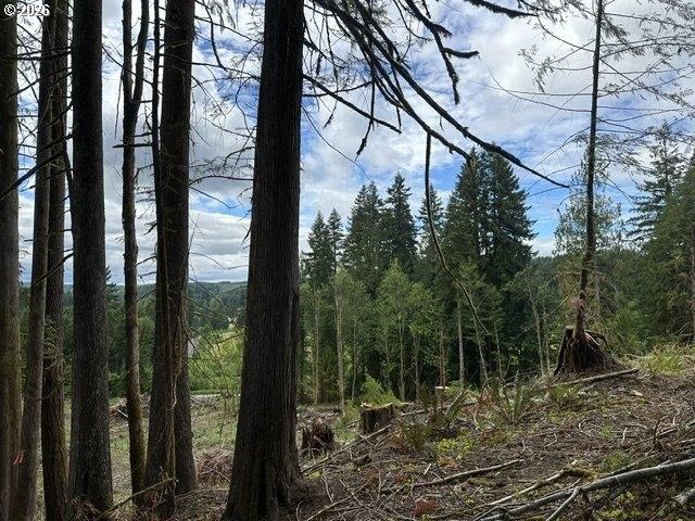 Land for sale in Oregonia