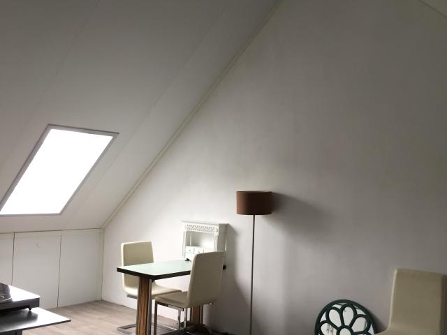 Kamer te huur in Haarlem, Noord Holland