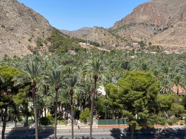 Apartamento en alquiler en Orihuela, Josefina Manresa
