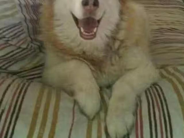 Casa en alquiler en Parla, Madrid