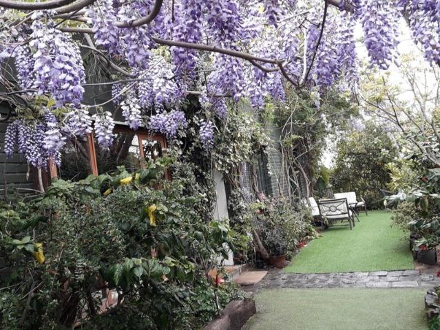 Casa en arriendo en Providencia, Metropolitana