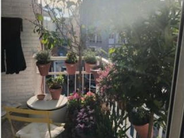 Piso en alquiler en l'Alacantí, Valencia