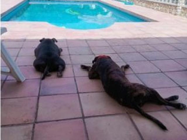 Piso en alquiler en la Solana, Baix Llobregat