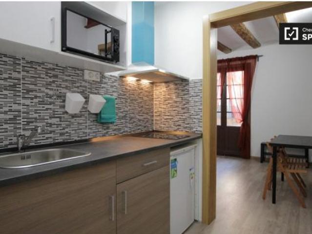 Piso en alquiler en Ciutat Vella, Barcelonès