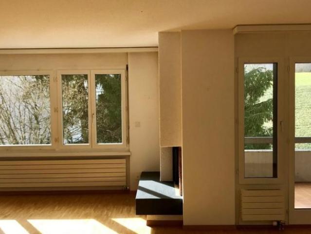 Apartment mieten in Altstetten, Zürich