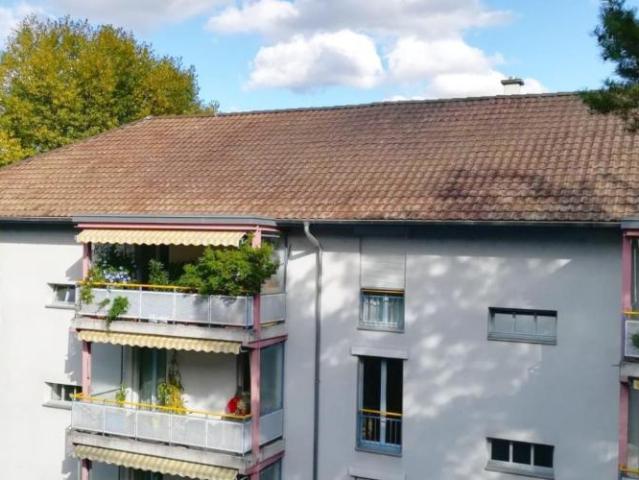 Apartment mieten in Basel, Basel-Stadt