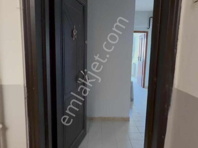 Amasya içerisinde kiralık mülk