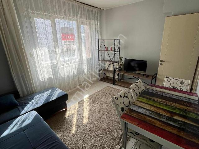 Hacı Yusuf Mahallesi, Bandırma içerisinde kiralık mülk