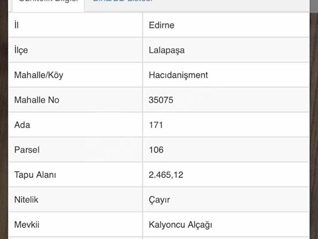 Hacıdanişment, Lalapaşa içerisinde satılık Arsa
