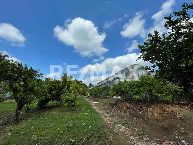 Quinta en venta en Comalcalco, Tabasco