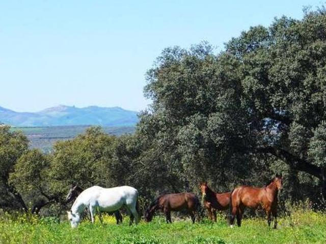 Casa en alquiler en Sierra de Cádiz, Andalucía