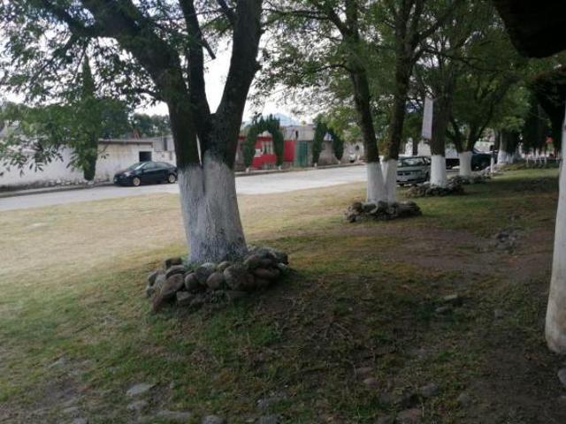 HACIENDA EN MACAVACA, CHAPA DE MOTA