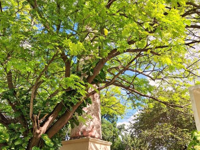 Departamento en venta en Samahil