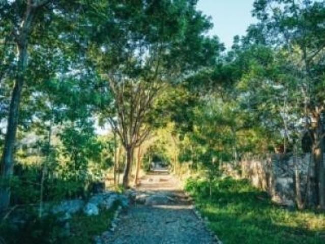 Hacienda en venta, Chunkanán, Yucatan IV