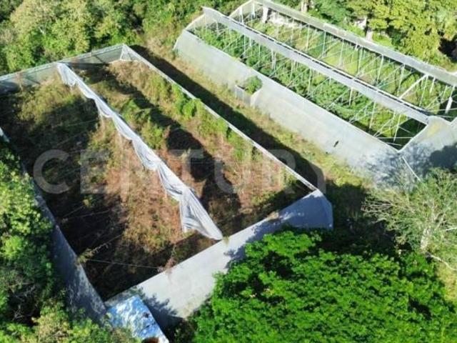 Hacienda en Venta en Conkal, Yucatán